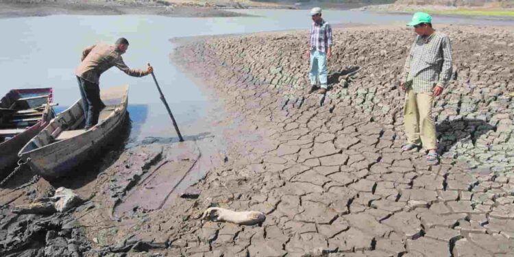 “Día Mundial del Suelo”, en medio de su degradación y el constante cambio climático