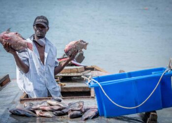 Asamblea aprobó ley que garantiza la seguridad social para pescadores y campesinos artesanales