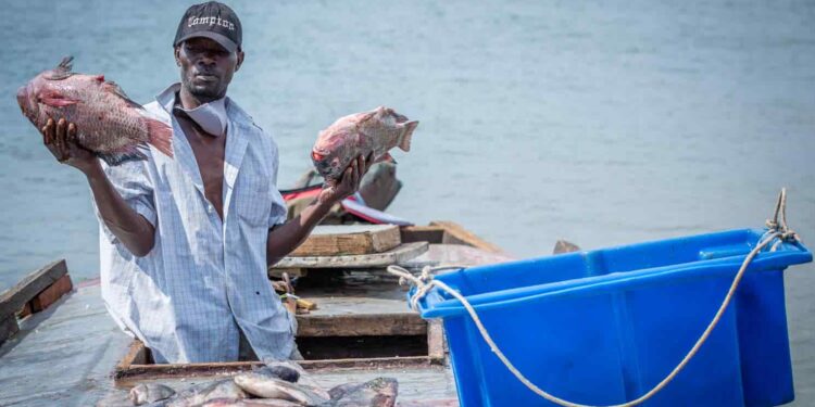 Asamblea aprobó ley que garantiza la seguridad social para pescadores y campesinos artesanales
