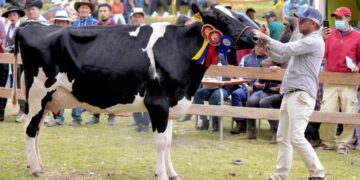 “Ambato Vive 2025” mostrará lo mejor de la producción agropecuaria de la ciudad