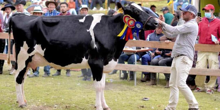 “Ambato Vive 2025” mostrará lo mejor de la producción agropecuaria de la ciudad