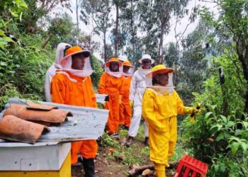 Refuerzan capacidades técnicas de apicultores para un manejo sostenible de colmenas