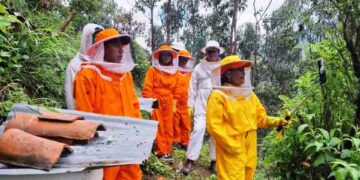 Refuerzan capacidades técnicas de apicultores para un manejo sostenible de colmenas