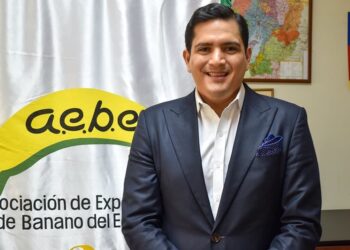 Banano ecuatoriano trabajará en campañas para incrementar el precio