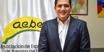 Banano ecuatoriano trabajará en campañas para incrementar el precio