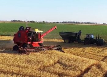 Canadá destina USD 300 millones  en agricultura sostenible para enfrentar cambio climático