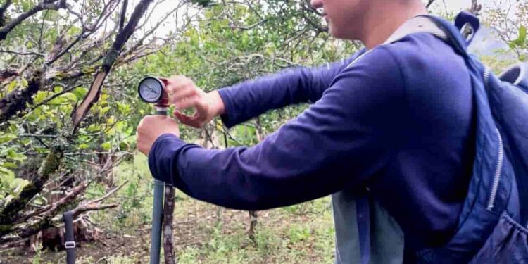 Cerca de 600 jóvenes lojanos impulsan el desarrollo sostenible, con apoyo del MAG