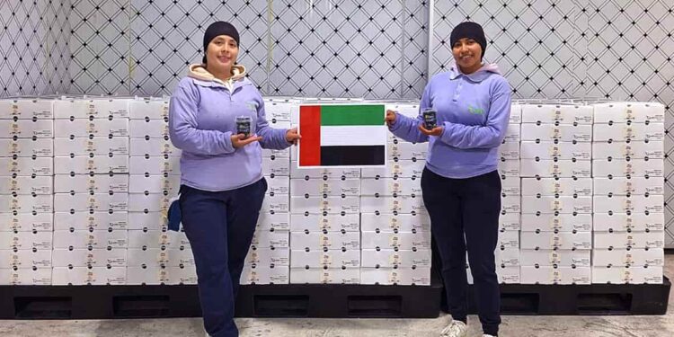 Arándanos ecuatorianos llegan a Dubái de la mano de Nobis Fruit Company