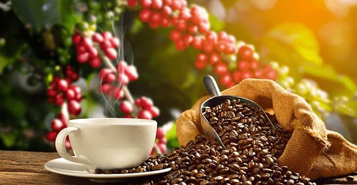El precio del café aumentó un 70 % en 2024