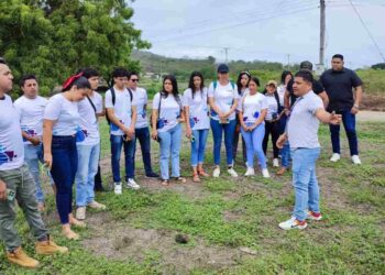 Ecuador busca exportar cacao libre de deforestación en 2026