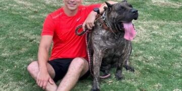 Desde el 1 de febrero se elimina el IVA en alimentos para mascotas