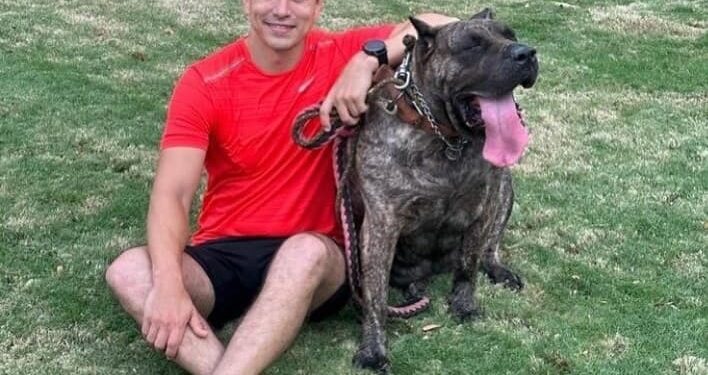 Desde el 1 de febrero se elimina el IVA en alimentos para mascotas