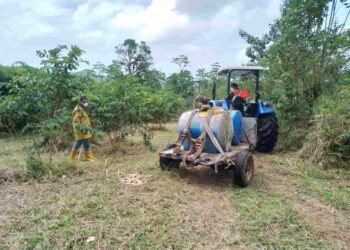 Tractores, que entrega el MAG, mejoran el trabajo de más de 1.900 productores agropecuarios del país