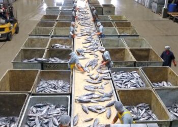 Ecuador y Canadá finalizan acuerdo comercial