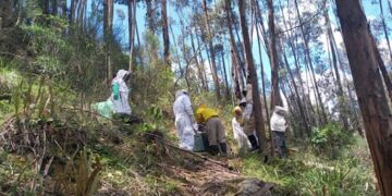 Segunda edición de la Escuela de Apicultura fortalecerá la producción apícola en Azuay