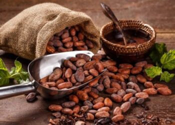 Vaticinan cambio de rumbo en el precio del cacao y el café