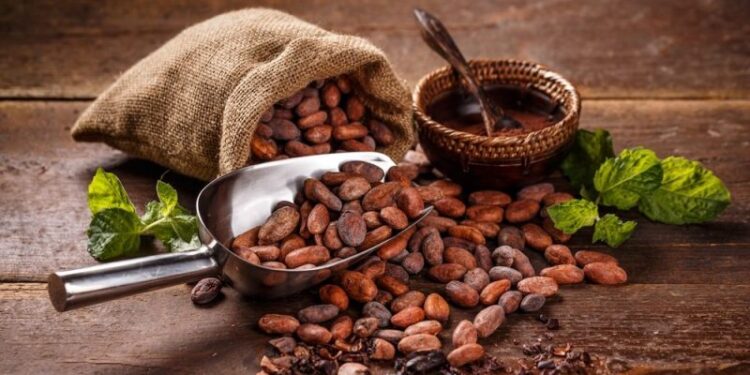 Vaticinan cambio de rumbo en el precio del cacao y el café