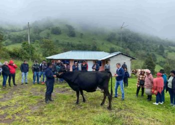 Productores de Tungurahua se capacitan en selección de ganado bovino