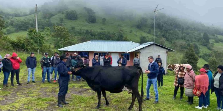 Productores de Tungurahua se capacitan en selección de ganado bovino