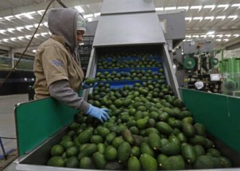 Exportadores mexicanos preocupados ante imposición de aranceles de EE.UU.