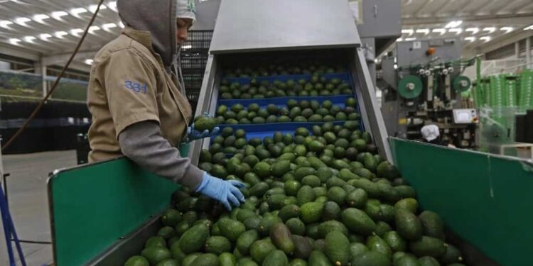 Exportadores mexicanos preocupados ante imposición de aranceles de EE.UU.