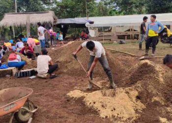 Productores de Orellana mejoran la producción de cacao en la provincia