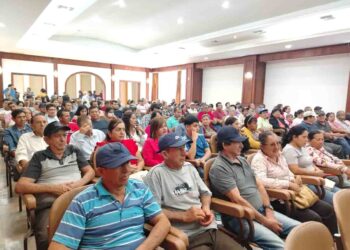 Productores de Piñas se benefician con vivero de café