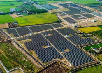 ¿Qué son y cómo funcionan los huertos solares comunitarios?