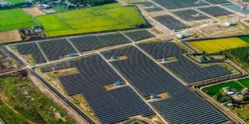 ¿Qué son y cómo funcionan los huertos solares comunitarios?