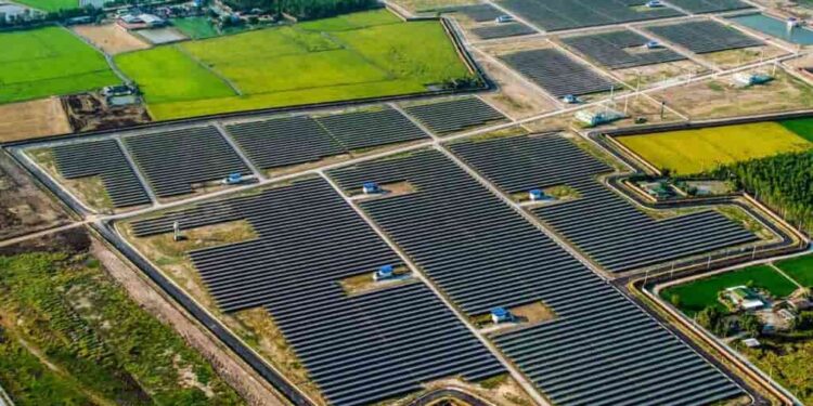 ¿Qué son y cómo funcionan los huertos solares comunitarios?