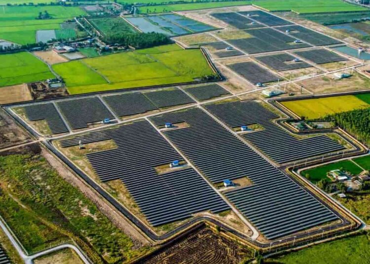 ¿Qué son y cómo funcionan los huertos solares comunitarios?