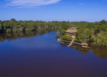 Visita el Yasuní! Tambococha y Jatuncocha albergan especies únicas en el mundo