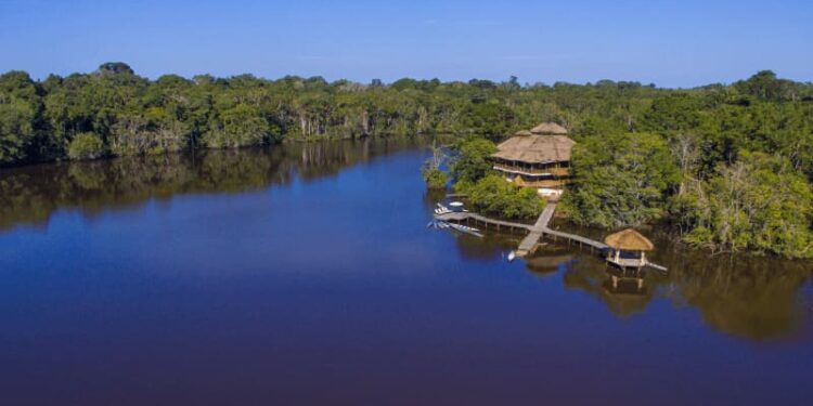Visita el Yasuní! Tambococha y Jatuncocha albergan especies únicas en el mundo
