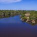 Visita el Yasuní! Tambococha y Jatuncocha albergan especies únicas en el mundo