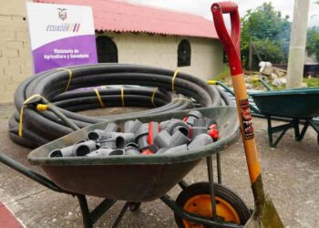 Productores de Azuay, afectados por incendios forestales, reciben apoyo del MAG