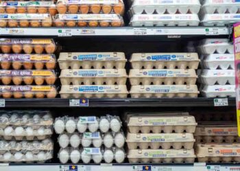 Precios del huevo en EE.UU. alcanzan niveles históricos por brotes de Influenza Aviar