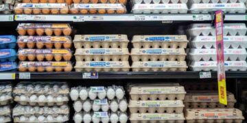 Precios del huevo en EE.UU. alcanzan niveles históricos por brotes de Influenza Aviar