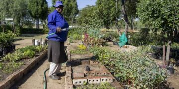 FAO recomienda políticas públicas para el manejo sostenible y eficiente del agua
