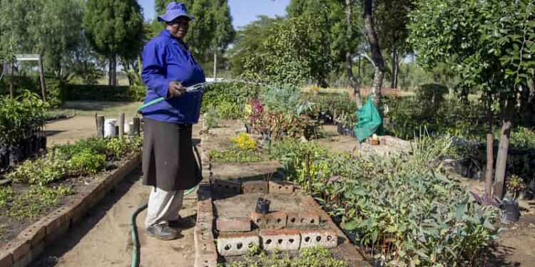 FAO recomienda políticas públicas para el manejo sostenible y eficiente del agua