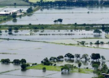 Bono de 600 dólares para agricultores afectados por la época invernal, anuncia el gobierno