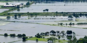 Bono de 600 dólares para agricultores afectados por la época invernal, anuncia el gobierno