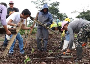 En Ecuador se plantaron 4.500 especies nativas por el Día Internacional de los Bosques