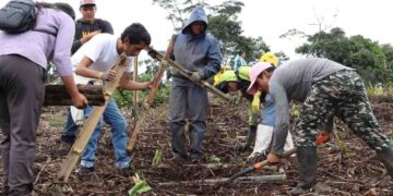En Ecuador se plantaron 4.500 especies nativas por el Día Internacional de los Bosques