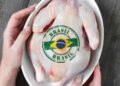 Brasil aumentará significativamente exportaciones de huevo ante crisis avícola en EE. UU.