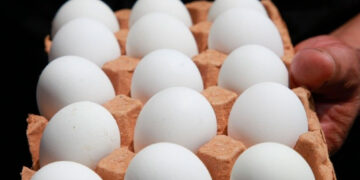 Contrabando de huevo desde México y Canadá crece 116% en EE. UU.