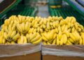 Dole advierte que tasas portuarias a barcos chinos aumentarían precio de la banana