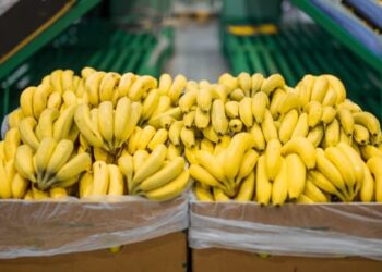Dole advierte que tasas portuarias a barcos chinos aumentarían precio de la banana