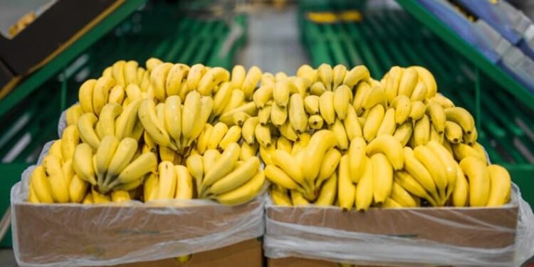 Dole advierte que tasas portuarias a barcos chinos aumentarían precio de la banana