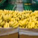 Dole advierte que tasas portuarias a barcos chinos aumentarían precio de la banana
