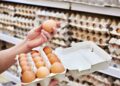 México lidera exportaciones de huevo a EE. UU. en medio de escasez por Influenza Aviar